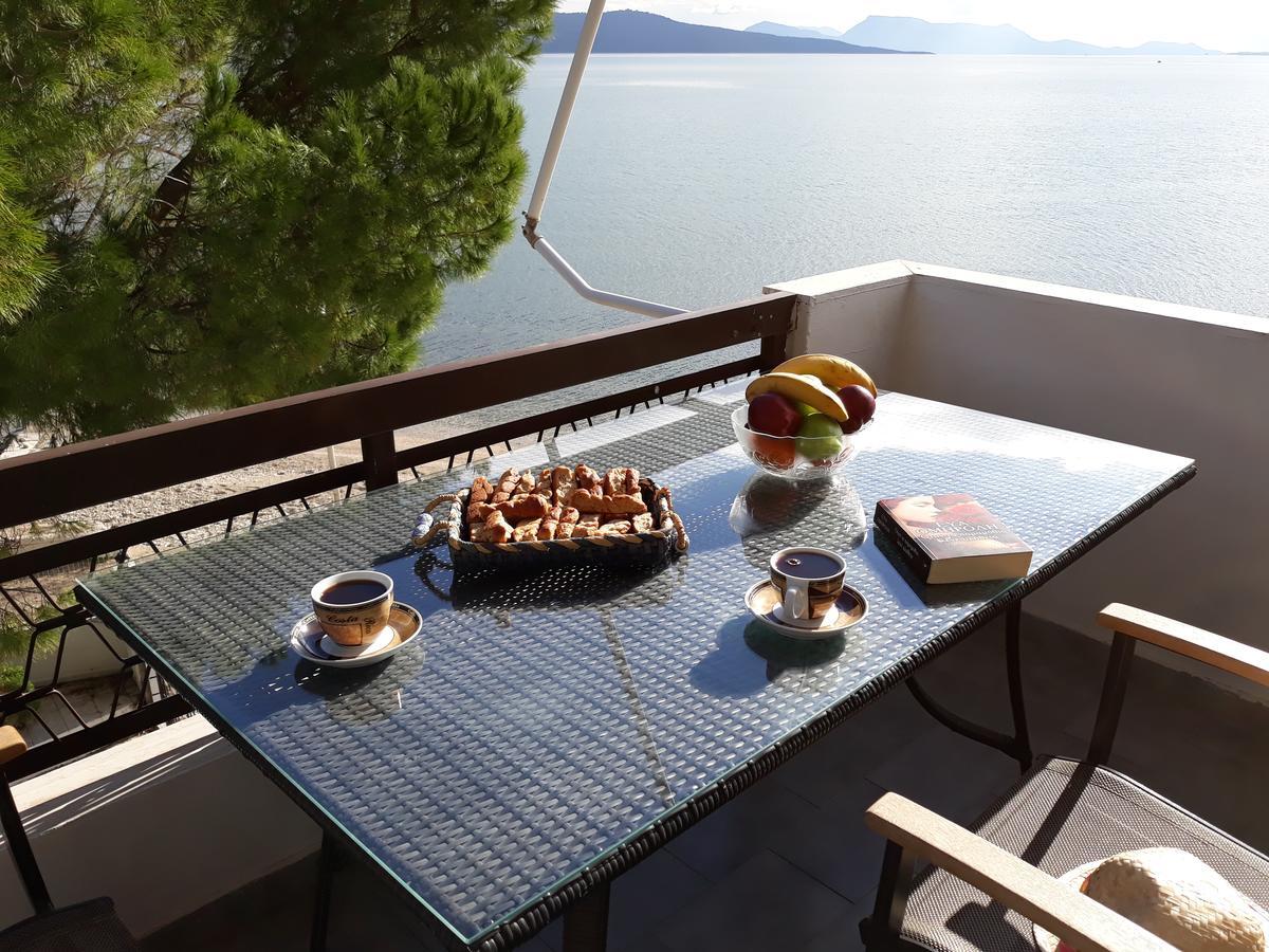 Villa Vandorou-Lefkada リジア エクステリア 写真